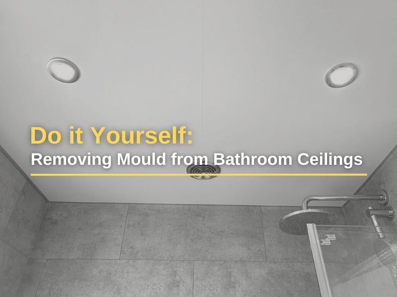 Remove Mould From Bathroom Ceilings