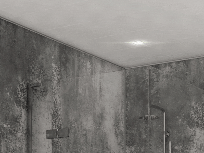 DIY Removing Mould from Bathroom Ceilings The Panel Company